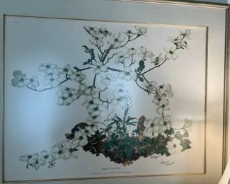 Another Wampler prints- we have LOTS!