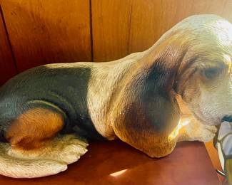 Bassett Hound