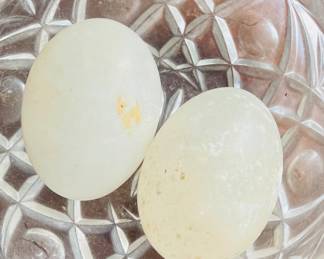 Alabaster eggs 