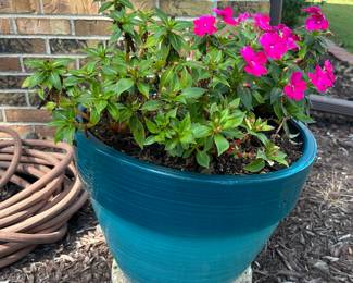 Large Planter and Flowers