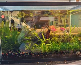 TH105Fish Tank With Plants And Fish