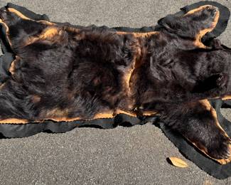 Bear Skin Rugs (One Rough and One Nice)