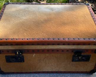 Deerskin Storage Trunk