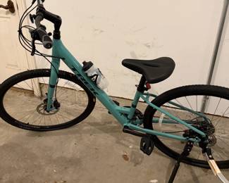 Trek Womens Bike 