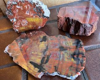 Petrified wood.