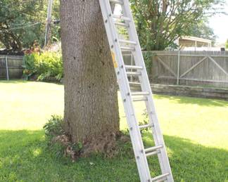 Extension Ladder