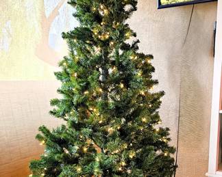 Christmas tree lighted