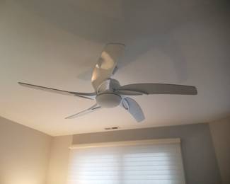 Lighted ceiling fan with remote