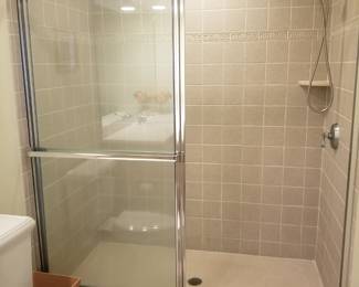 Glass shower door