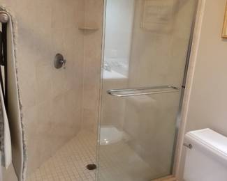 Glass shower doors