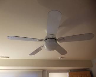 Lighted ceiling fan with remote