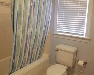 Shower curtain; Kohler commode