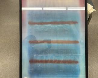 1226 Poster Framed