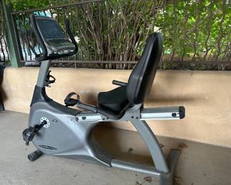 1226 Recumant Bike