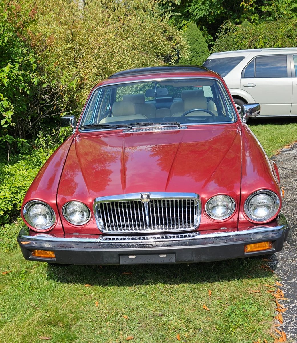1986 Jaguar series III, XJ 6, Vanden Plas, 59,696 miles, leather seats, original condition, not driven in years.