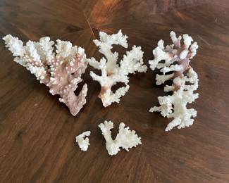 Coral