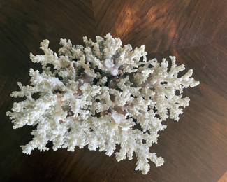 Coral