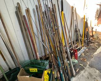Dozens of fishing poles.