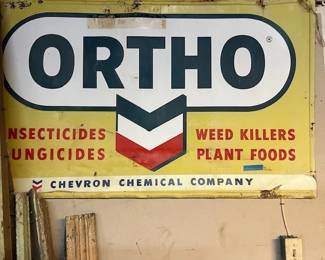 ortho