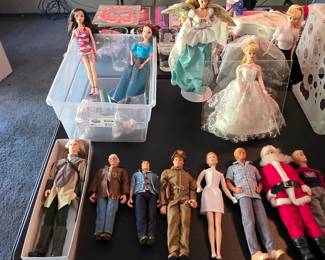 Barbie dolls and Barbie accessories