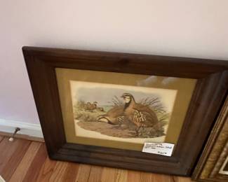 Quail art