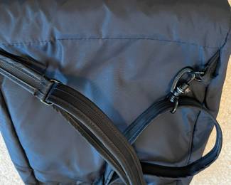 R56 - $20. PacSafe RFID Backpack/Purse. Measures 11" x 3" x 12" tall.  Model citysafe 350 Gii. Excellent Condition. 