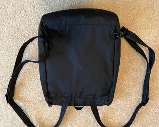 R56 - $20. PacSafe RFID Backpack/Purse. Measures 11" x 3" x 12" tall.  Model citysafe 350 Gii. Excellent Condition. 