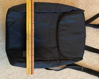 R56 - $20. PacSafe RFID Backpack/Purse. Measures 11" x 3" x 12" tall.  Model citysafe 350 Gii. Excellent Condition. 