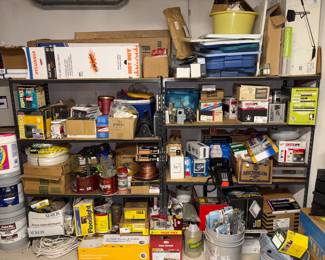 Endless amounts of household cleaning supplies, fertilizers, insect repellents, car cleaning supplies.