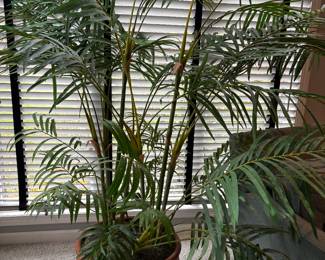 Large pot with faux indoor houseplant.