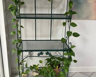 Metal Plant Stand and Vine