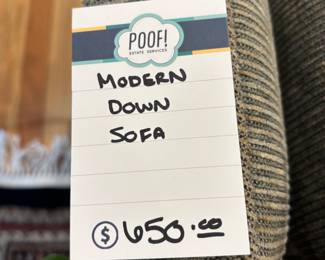 Modern Down Sofa 