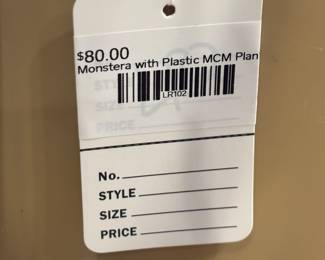 Monstera with Plastic MCM Planter