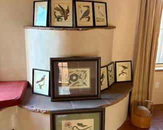 Framed botanical prints