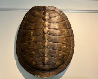 (2) Faux Tortoise Shells