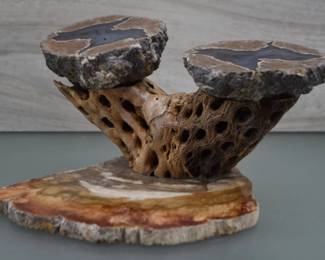 Thunder Egg on Petrified Wood Base