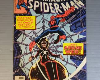 The Amazing Spider-Man #210 Comic Book, Marvel Comics Group, November 1980 