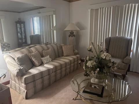 Very Clean Living Room Furniture