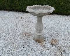 Bird Bath