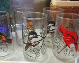 NC Bird Glasses