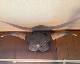 Vintage Horns and Racks