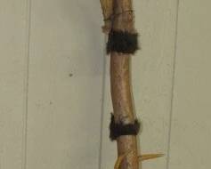 Unique Walking Stick