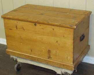 Primitive Pine Trunk