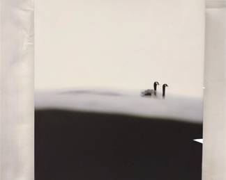 THE LAKE SIGNED BY ROBIN LAYTON