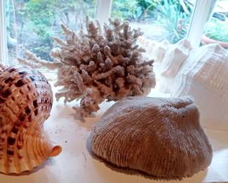Tons of shells