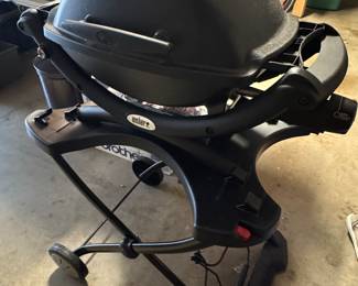 Weber Portable Propane Grill