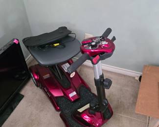 Electric folding scooter 