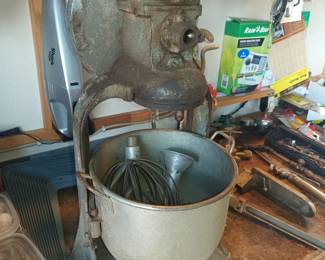 The kitchenaid mixers neanderthal  ancestor