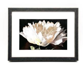 "White Peony" Framed Art Print
