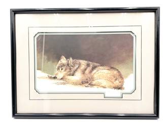 Signed Limited Edition Print “Male Timber Wolf Study” by Morten E. Solberg 1991